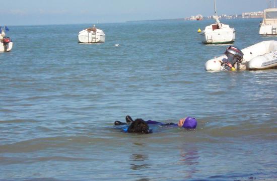 Chien de sauvetage en mer