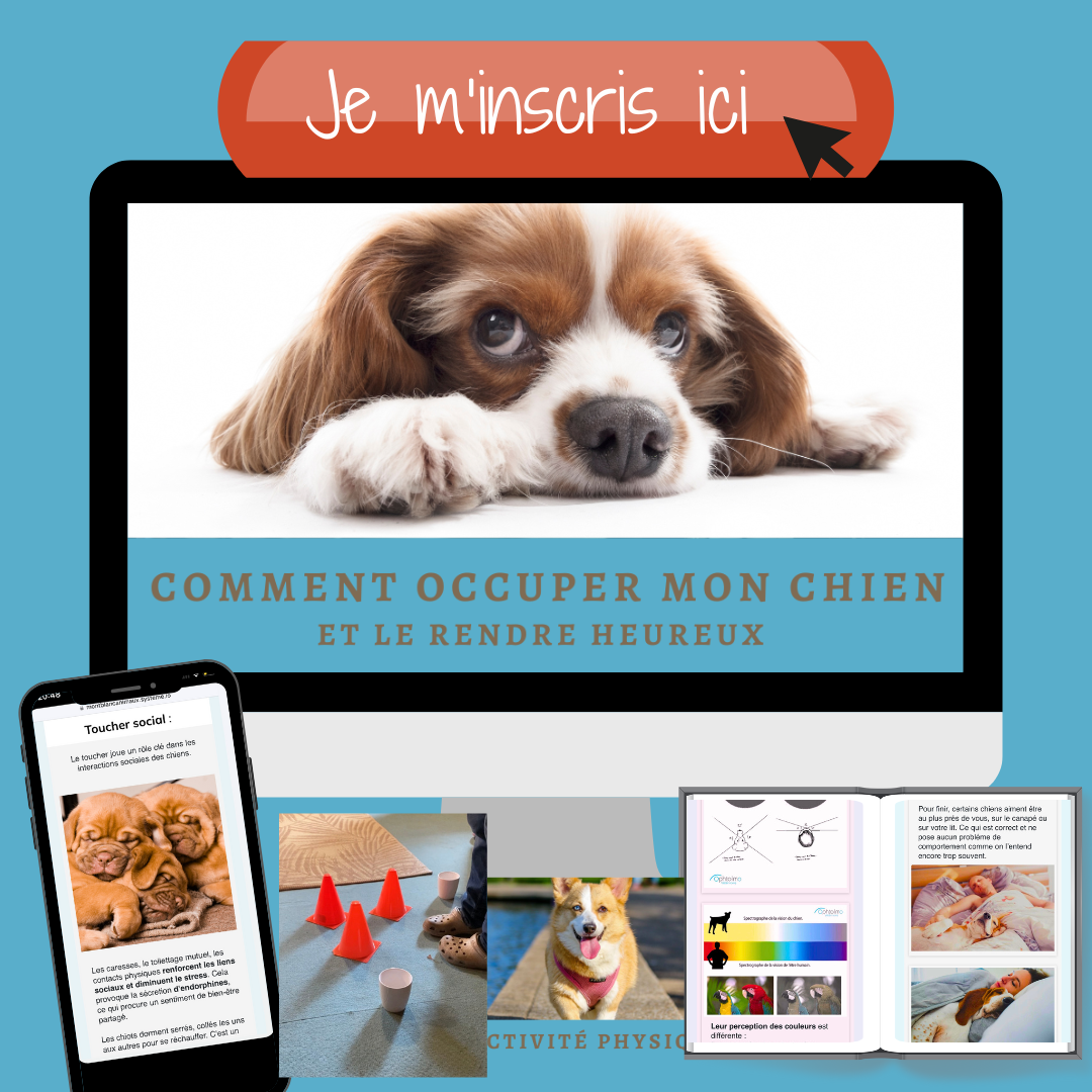 Colore illustre simple calendrier de l avent publication instagram 15