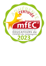 Mfec macaron f