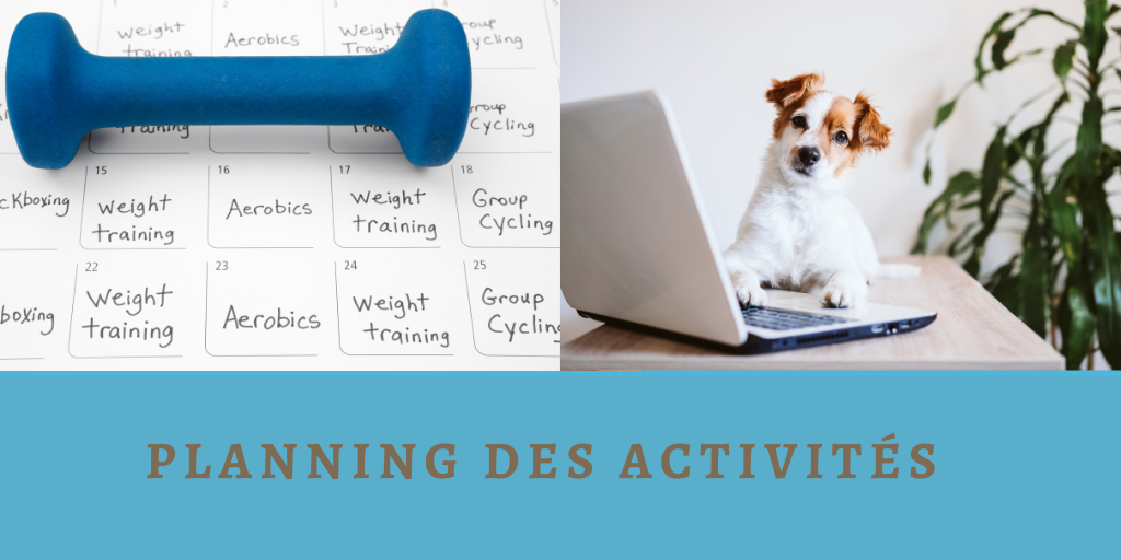 Visuel planning des activites